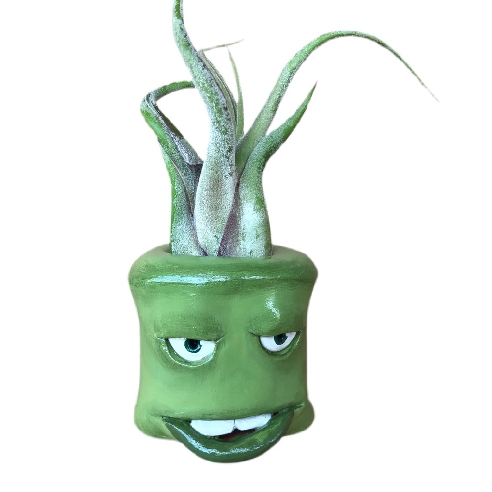 🛑SOLD🛑Handmade Airplant holder grumpy green